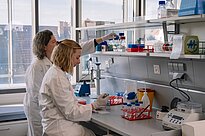 Two researcher working in a laboratory