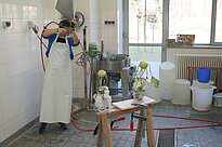 Studienwerkstatt für Papier und Recycling
