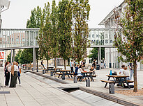 Groups of students gather around the campus of Landshut UAS among a lot of trees.