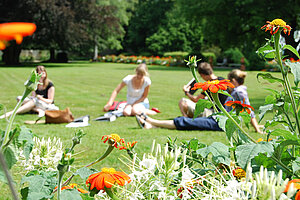 a group of students sitting in a parc