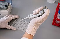 Two hands in gloves holding a pipette