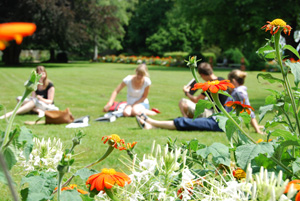 Eine Gruppe Studierender lernt im Park auf einer grünen Wiese