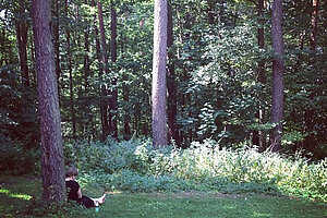 Campus der Akademie Ein Student sitzt im Grünen.