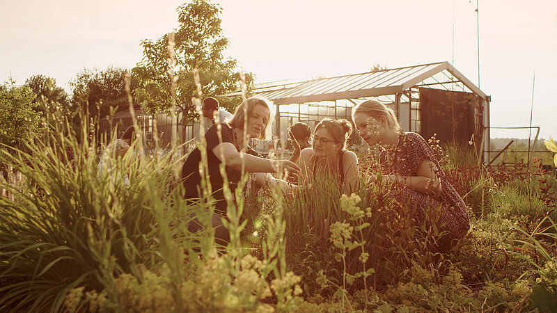 @ HWST Students are inspecting plants in front of a glass house