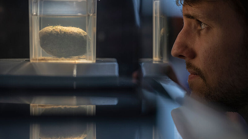 LMU researcher in laboratory