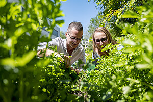 Students check a herb bed