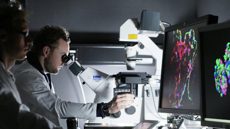 © Jan Greune / LMU Ein Wissenschaftler schaut durch ein Mikroskop, ein anderer Wissenschaftler schaut auf den Bildschirm, auf dem farbenfrohe Bilder von dem zu sehen sind, was sich unter dem Mikroskop befindet.