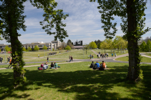 Studierende sitzen auf einer grünen Wiese
